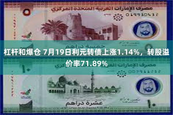 杠杆和爆仓 7月19日利元转债上涨1.14%，转股溢价率71.89%