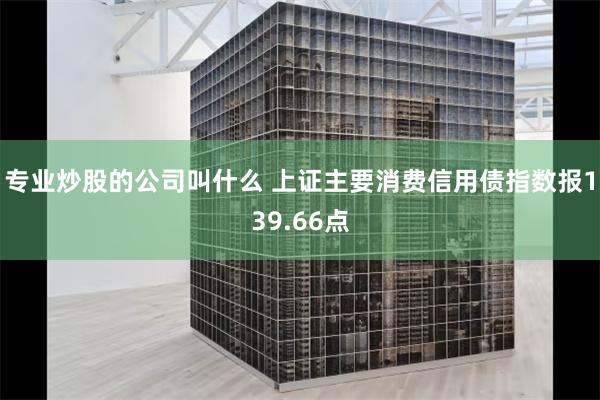 专业炒股的公司叫什么 上证主要消费信用债指数报139.66点