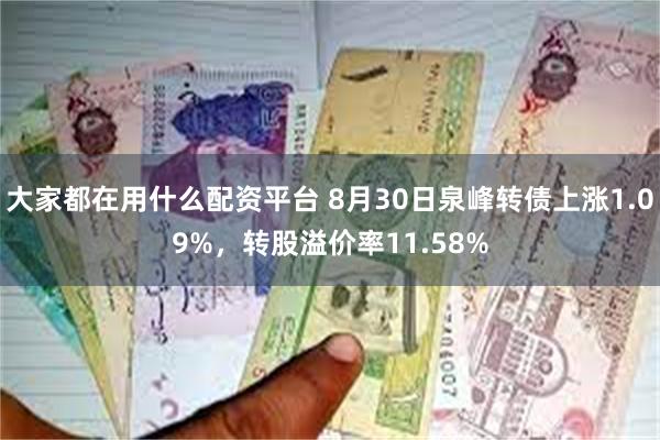 大家都在用什么配资平台 8月30日泉峰转债上涨1.09%，转股溢价率11.58%