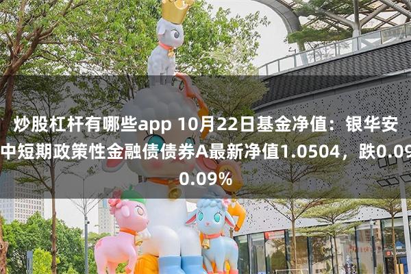 炒股杠杆有哪些app 10月22日基金净值：银华安丰中短期政策性金融债债券A最新净值1.0504，跌0.09%