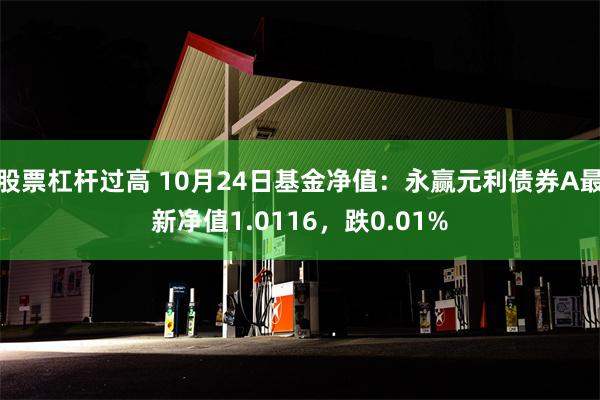 股票杠杆过高 10月24日基金净值：永赢元利债券A最新净值1.0116，跌0.01%