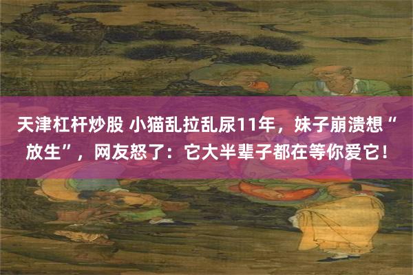 天津杠杆炒股 小猫乱拉乱尿11年，妹子崩溃想“放生”，网友怒了：它大半辈子都在等你爱它！