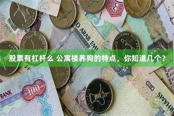 股票有杠杆么 公寓楼养狗的特点，你知道几个？