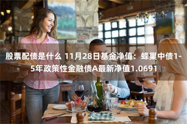 股票配债是什么 11月28日基金净值：蜂巢中债1-5年政策性金融债A最新净值1.0691