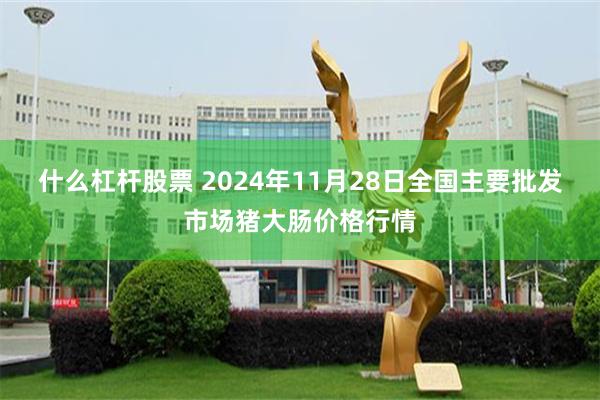 什么杠杆股票 2024年11月28日全国主要批发市场猪大肠价格行情