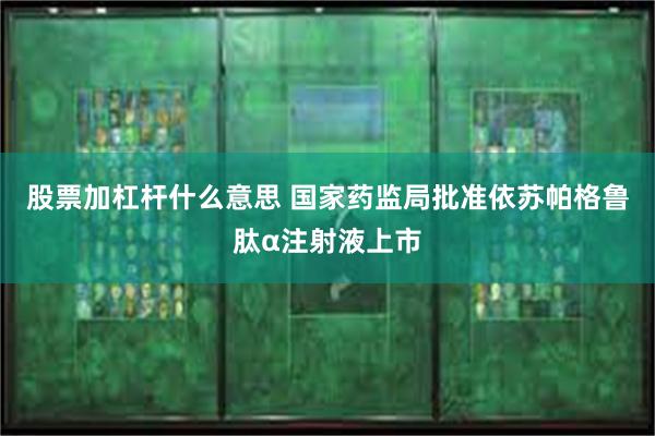 股票加杠杆什么意思 国家药监局批准依苏帕格鲁肽α注射液上市